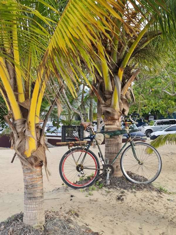 Beach Bum - Lenochod - Image 7