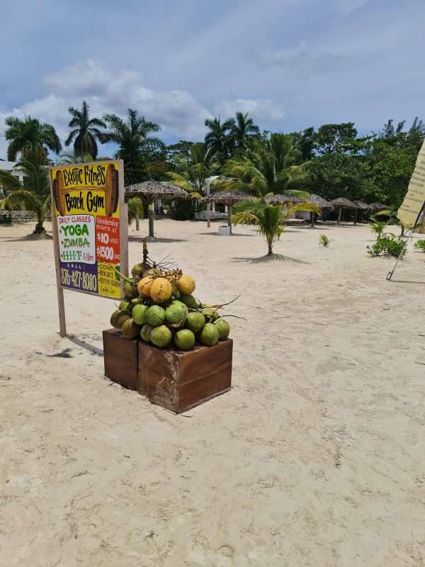 Beach Bum - Lenochod - Image 6