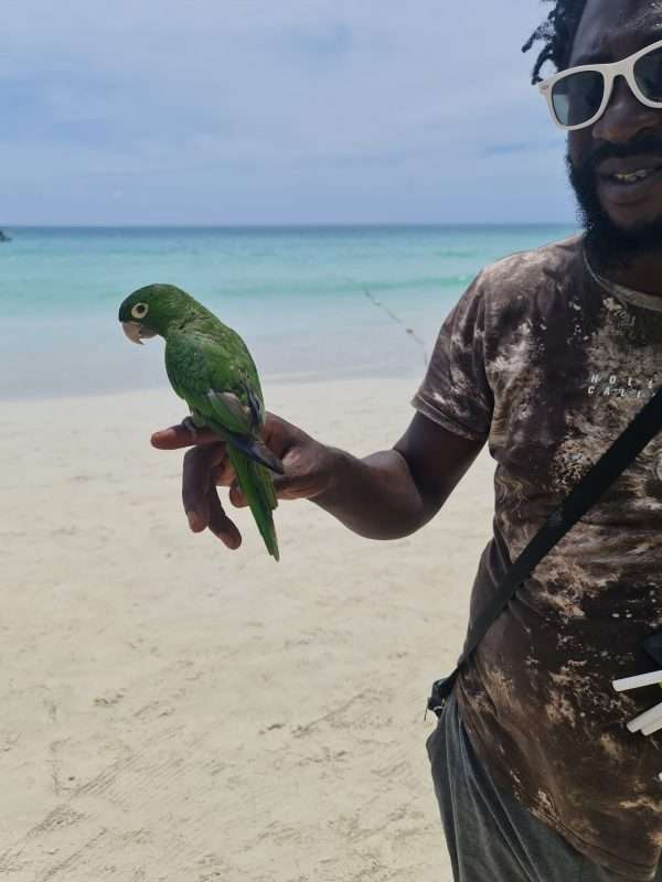 Bob Marley & Reggae Roots - Image 15