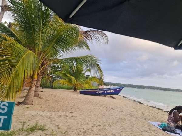 Beach Bum - Lenochod - Image 4