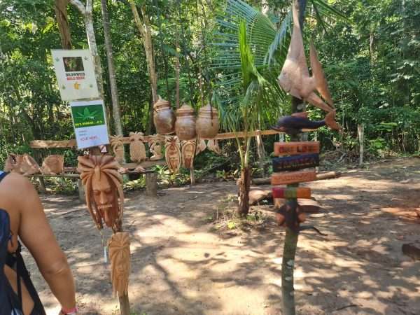 Bob Marleys House & Nine Mile, Blue Hole, Secret Beach, Downtown - Image 5