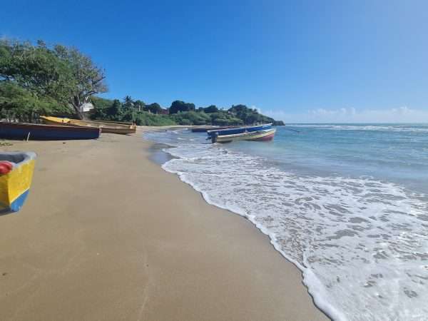 Black River, Pelican Bar, Treasure Beach - Image 2