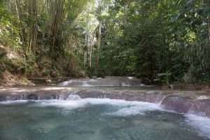 Mayfield Falls, Bamboo Rafting, Luminous Lagoon