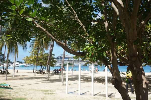 Bob Marleys House & Nine Mile, Blue Hole, Turtle Beach, Downtown - Image 9