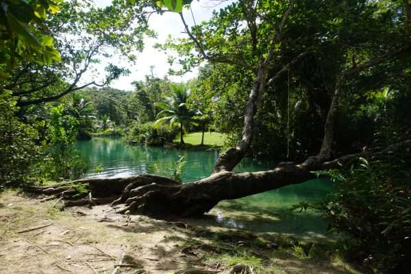 Nanny Falls & Moore Town, Frenchman’s Cove - Image 2