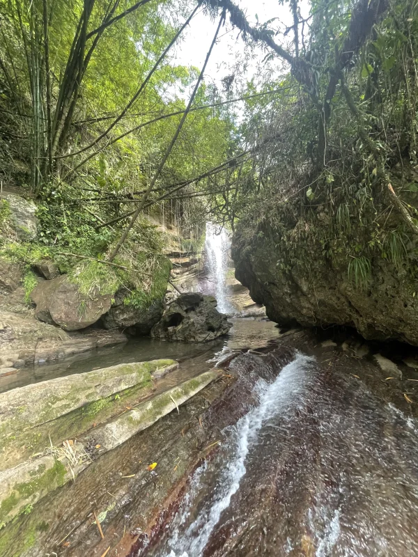Nanny Falls & Moore Town, Frenchman’s Cove - Image 5