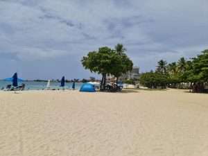 Bob Marleys House & Nine Mile, Blue Hole, Turtle Beach, Downtown