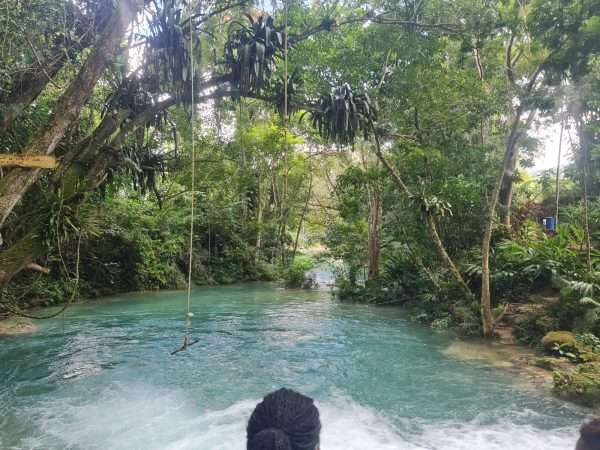 Bob Marleys House & Nine Mile, Blue Hole, Secret Beach, Downtown - Image 3