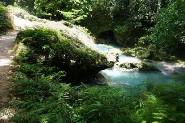 Bob Marleys House & Nine Mile, Blue Hole, Turtle Beach, Downtown - Image 7