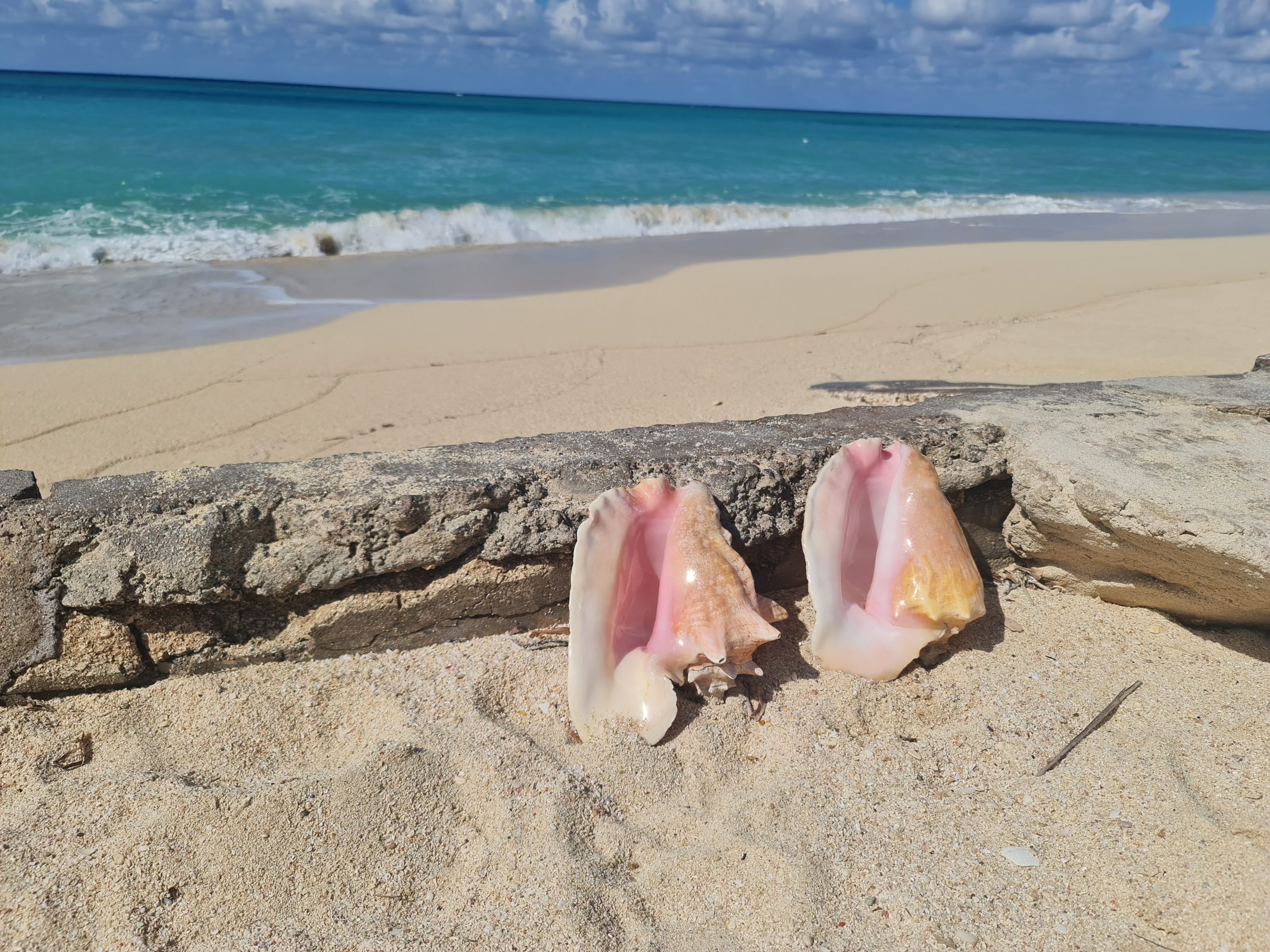 TUI Montego Bay - Obrázek 3