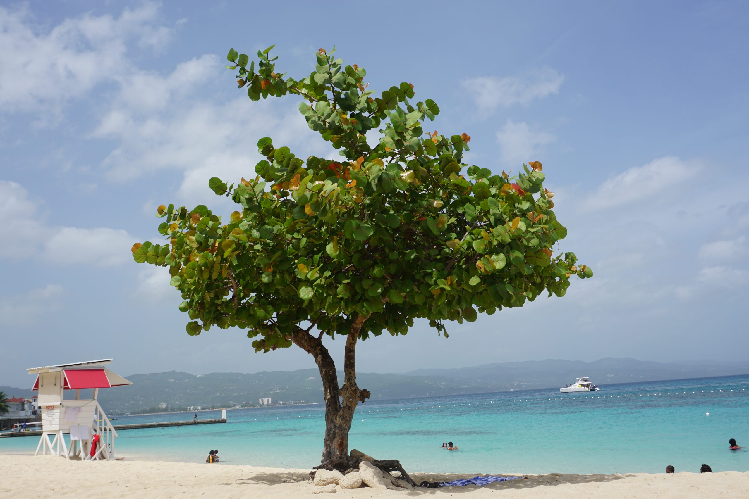 TUI Montego Bay - Obrázek 6