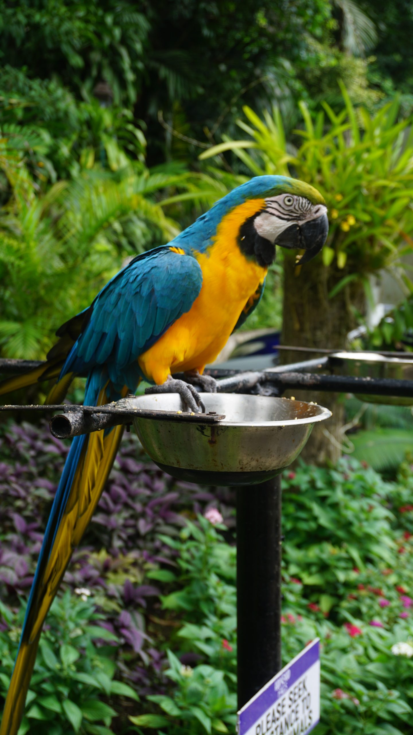 TUI Ocho Rios - Obrázek 2