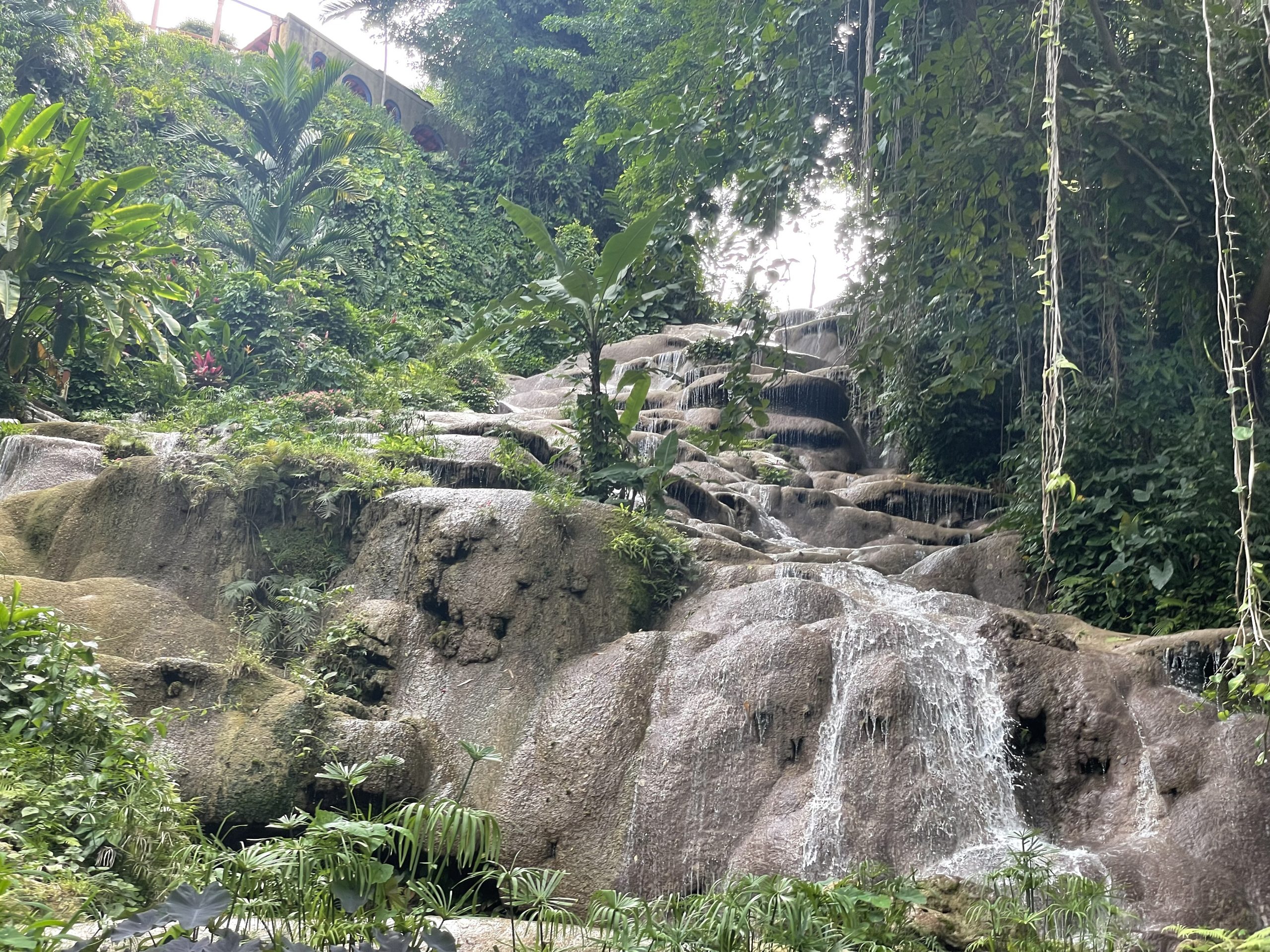 TUI Ocho Rios - Obrázek 7